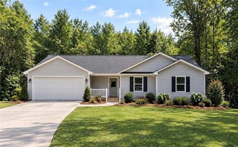 New construction Single-Family house Mount Airy, GA 30563 - image