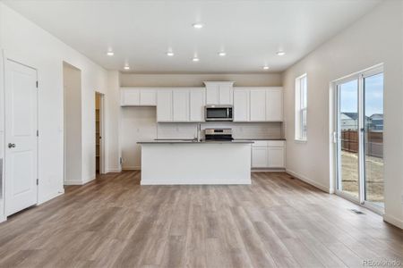 New construction Single-Family house 18350 Prince Hill Cir, Parker, CO 80134 BRIDGEPORT- photo 6 6