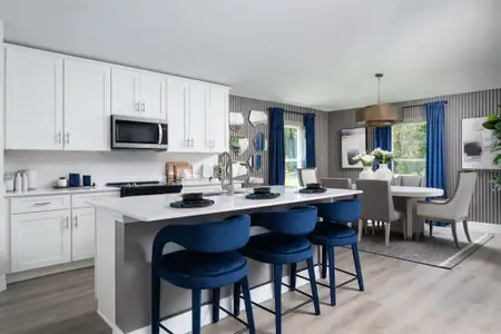 New construction Single-Family house 6200 Sw 97Th St, Ocala, FL 34476 plan Palmetto - image 12