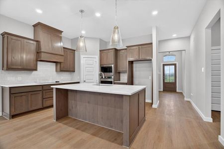New construction Single-Family house 321 Skeen Peak, Springtown, TX 76082 - image 4