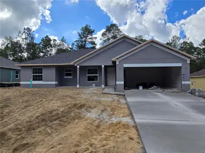 New construction Single-Family house 2605 Clearwood St, Inverness, FL 34452 - image