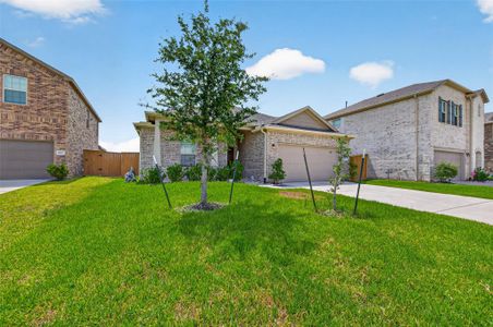 New construction Single-Family house 8111 Star Terrace Dr, Cypress, TX 77433 - image