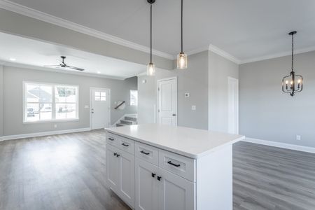 The Exuma by Riverstone Construction, LLC in Ooltewah - image 19