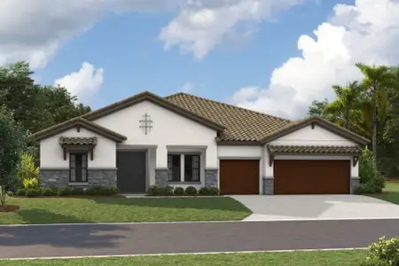 New construction Single-Family house 3022 Eagles Flight Pl, Brandon, FL 33511 plan Cedar Key I - image