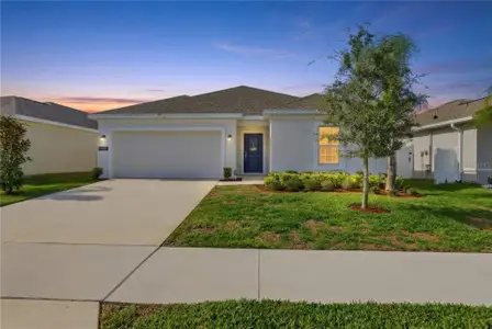 New construction Single-Family house 1539 Peach Creek Dr, Osteen, FL 32764 plan Dawn - image