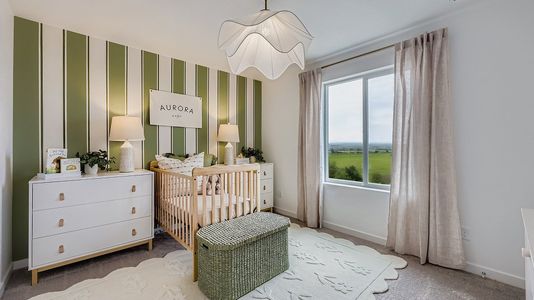 Percheron: The Explorer Collection 12