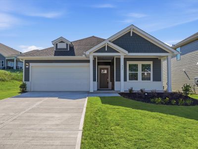 New construction Single-Family house 337 Allingham Rd, Piedmont, SC 29673 plan Gibson - image