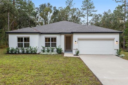 New construction Single-Family house 6366 Sw 153Rd Lane Road, Ocala, FL 34473 - photo 0