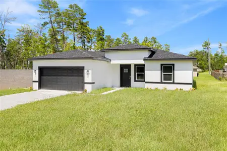 New construction Single-Family house 5217 Sw 165Th Street Rd, Ocala, FL 34473 - image
