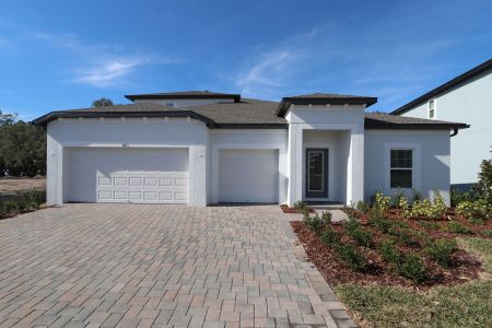 New construction Single-Family house 9603 Crescent Ray Dr, Wesley Chapel, FL 33545 Barcello Bonus- photo 107 107