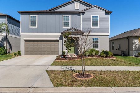 New construction Single-Family house 22169 Calisto Wy, Land O' Lakes, FL 34637 - image