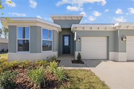 New construction Single-Family house 1565 W Pearson St, Hernando, FL 34442 - image