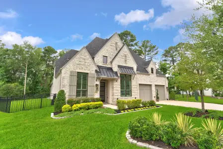 New construction Single-Family house 115 Emerald Isle Ct, Montgomery, TX 77316 - image 2