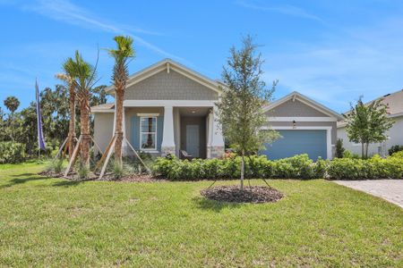 New construction Single-Family house 9117 Gulf Haven Dr, Parrish, FL 34221 null- photo 0