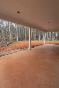 New construction Single-Family house 1929 Georgia 101, Dallas, GA 30157 - image