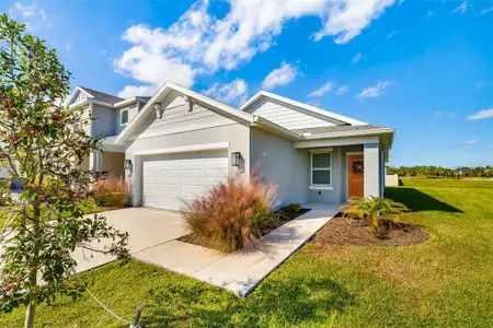 New construction Single-Family house 13142 Cedar Elm Ln, Parrish, FL 34219 - image 2