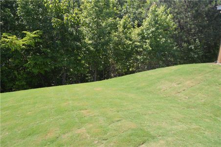 New construction Single-Family house 392 Brookstone Trail, Dawsonville, GA 30534 - photo 123 123