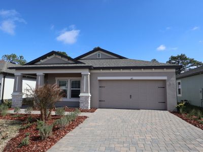 New construction Single-Family house 605 Hillshire Pl, Spring Hill, FL 34609 plan Picasso - image