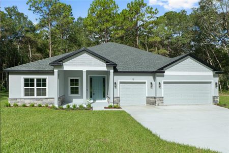 New construction Single-Family house 12 S School Ave, Lecanto, FL 34461 - image