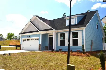 New construction Single-Family house 128 Locomotive (Lot 07) Ln, Irmo, SC 29063 plan Timberwood II - image