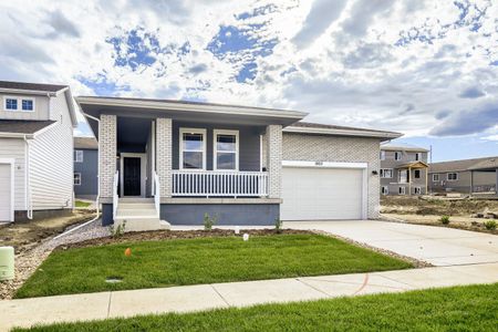 New construction Single-Family house 1803 Carnoustie Dr, Fort Collins, CO 80524 plan Newport - image