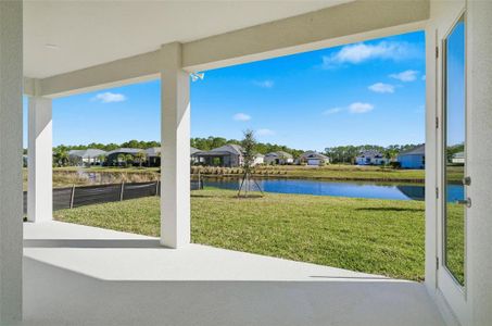 New construction Single-Family house 250 Hawthorn Ave, Palm Coast, FL 32164 - image 3