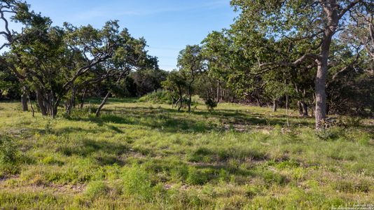 New construction Single-Family house 739 Maximino Ridge Rd, Bulverde, TX 78163 null- photo 17 17