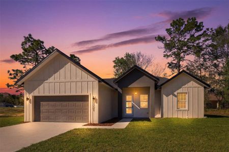New construction Single-Family house 3321 W Babcock Pl, Citrus Springs, FL 34433 - image