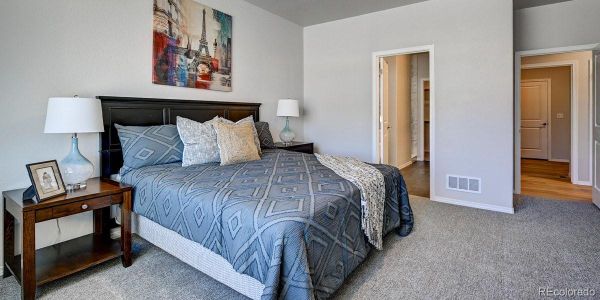 New construction Single-Family house 366 Hardstone Dr, Monument, CO 80132 - image 13