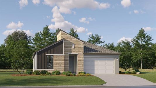 New construction Single-Family house 18202 Serene Lake Loop, Lutz, FL 33548 Brindley- photo 0