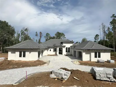 New construction Single-Family house 16989 Lucca Ln, Montverde, FL 34756 - image