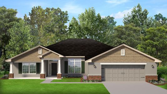 New construction Single-Family house 11323 Limpkin Rd, Weeki Wachee, FL 34614 plan 2508 - image