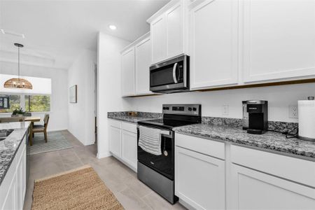 New construction Single-Family house 223 Rio De Janeiro Ave, Punta Gorda, FL 33983 - image 5