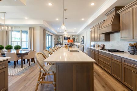 New construction Single-Family house 4371 Carrera Dr, Prosper, TX 75078 - image 12