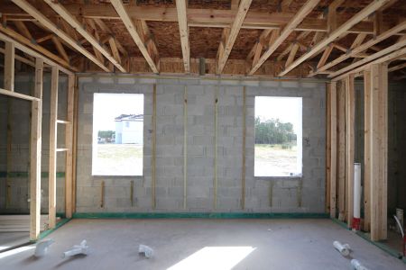 New construction Single-Family house 1787 Drummond Pt, Zephyrhills, FL 33541 Sonoma II- photo 28 28