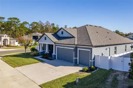New construction Single-Family house 1252 Kelsa Anne Dr, Spring Hill, FL 34609 - image