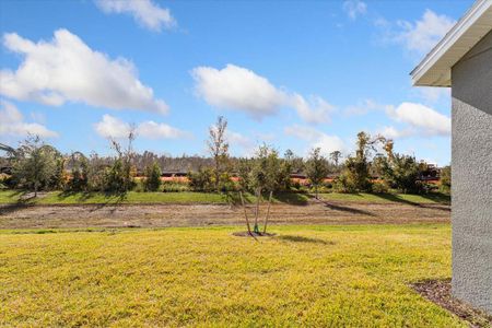 New construction Single-Family house 5832 Springer St, Saint Cloud, FL 34771 null- photo 19 19