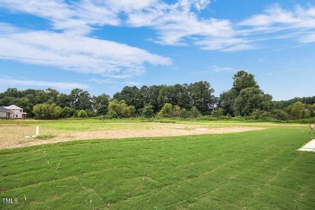 New construction Single-Family house 63 Blackberry Lane, Benson, NC 27504 - photo 7 7