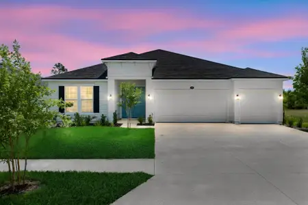 New construction Single-Family house 29 Windmill Palm Wy, Palm Coast, FL 32164 plan Avalon - image