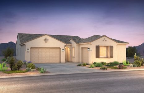 New construction Single-Family house 662 W Rock Needle Trl, Apache Junction, AZ 85120 Ravenna- photo 0