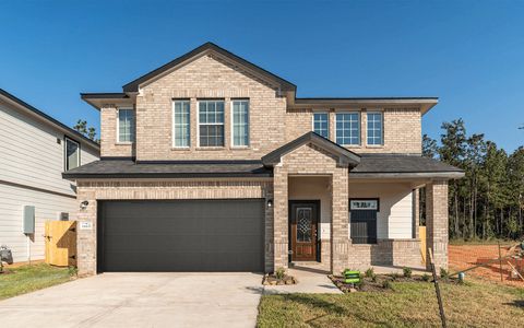 New construction Single-Family house 14437 High Hill Dr, Conroe, TX 77303 Lavaca- photo 17 17