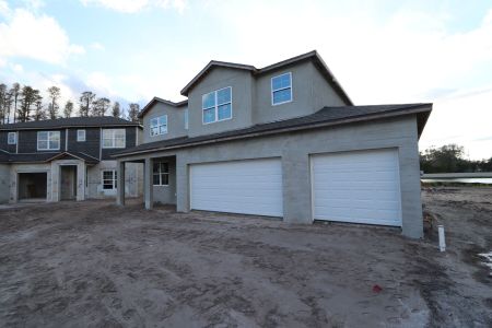 New construction Single-Family house 20131 Oriana Loop, Land O' Lakes, FL 34638 Sonoma II- photo 102 102