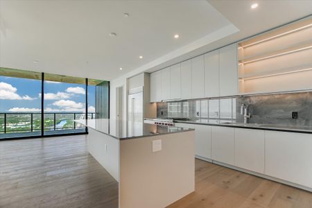 New construction Condo house 610 Davis St, Unit 4903, Austin, TX 78701 - image 12