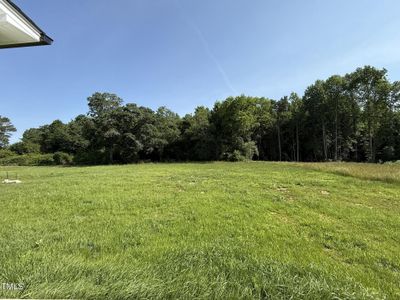 New construction Single-Family house 179 Coharie Dr, Lillington, NC 27546 - image 13