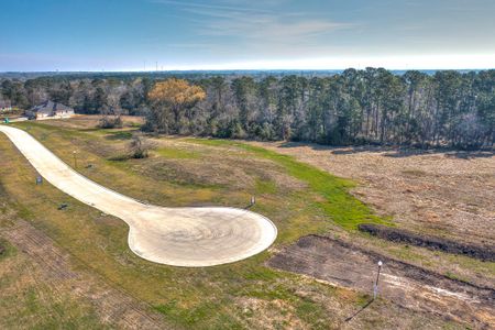 New construction Single-Family house 6 Homestead Hill Rd, New Waverly, TX 77358 - image 9