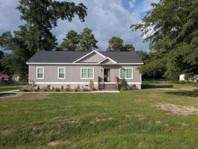 New construction Single-Family house 168 Willow Ct, Walterboro, SC 29488 - image