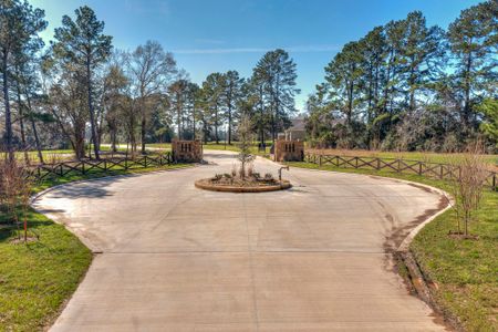 New construction Single-Family house 6 Homestead Hill Rd, New Waverly, TX 77358 - image 12