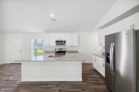 New construction Single-Family house 1135 Nw 13Th St, Cape Coral, FL 33993 plan The Seabreeze Cove - image 4