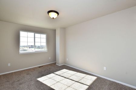 New construction Single-Family house 437 Vivid Ln , Evans, CO 80634 - photo 20 20