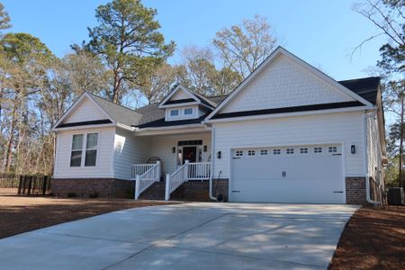 New construction Single-Family house 131 Green Ct, Santee, SC 29142 - image